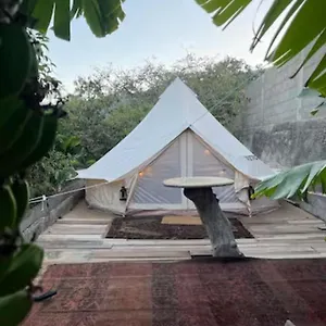 https://yurt-in-avocado-garden.tenerifehoteles.net